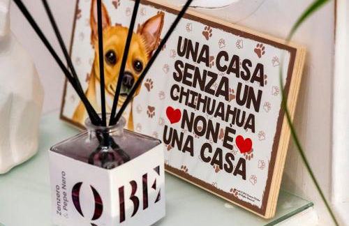 Chiwi's Home - Photo 48