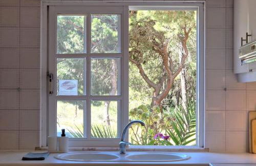 Ancão beach duplex with private garden - Photo 20