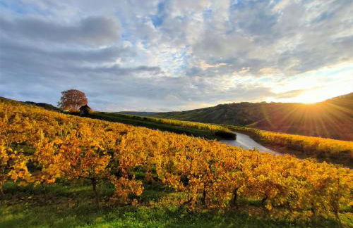 Garden Eden - Foto 25