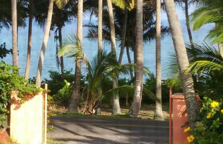 Whale House at Kehena Beach - Foto 26