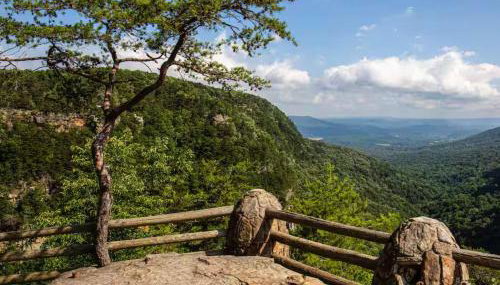 Blueberry Farm Cottage, Hot Tub, Creek, Game Room - Foto 5