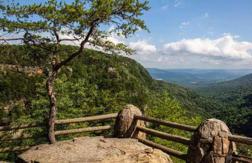Blueberry Farm Cottage, Hot Tub, Creek, Game Room - Foto 5
