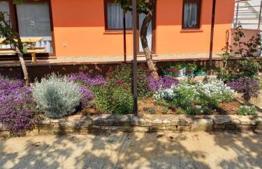 Apartman Ljiljana - Foto 4