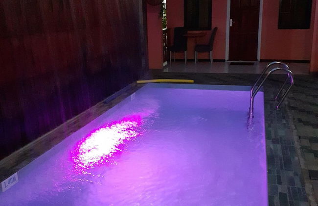 Max Garden and Pool - Photo 37