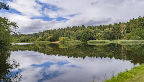 Wild Meadow Barn - Foto 5