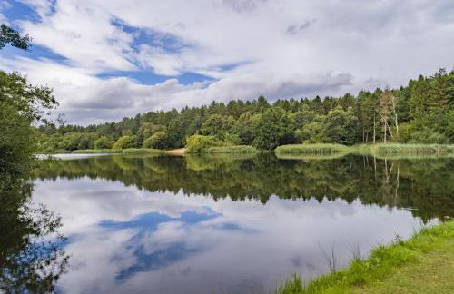 Wild Meadow Barn - Foto 5