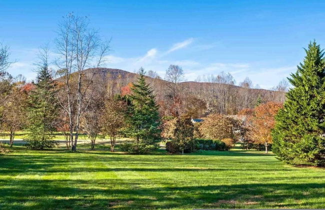 Stoney Creek Cottage Wintergreen w EV Charger - Foto 6