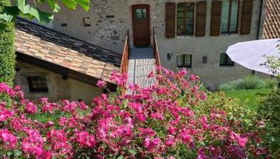 Al vecchio fienile - Photo 4