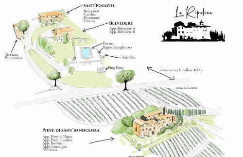 Agriturismo La Ripolina - Foto 7