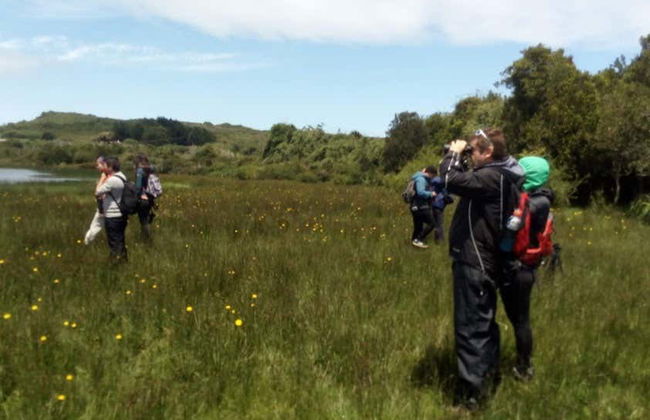 Birdwatching on the Carretera Austral - Foto 4