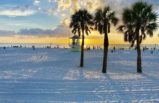 Paradise on the Wheels Clearwater Beaches - Photo 1