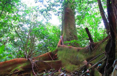 Refúgio dos Valdenses - Photo 37