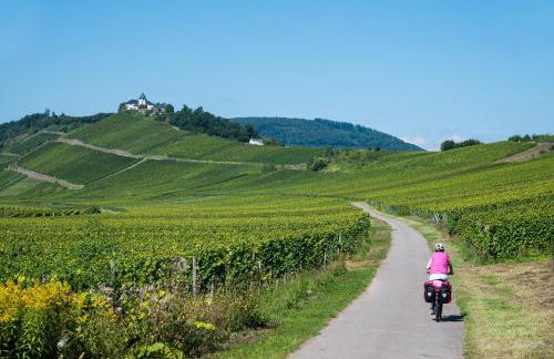 Ferienhaus-Am-Alten-Stadttor - Foto 48