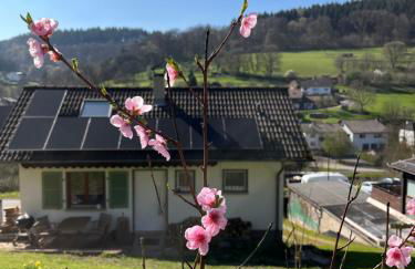 Ferienhäusel Allemühl - Foto 1