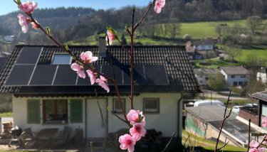 Ferienhäusel Allemühl - Foto 1, Garden, Garden view