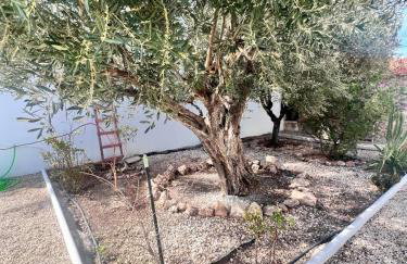 Casa Mayra - Photo 5