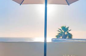 Dragon View - Foto 3