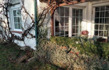 Ferienwohnung Heidebiene - Foto 6