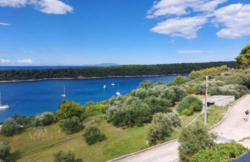 Apartments Mlacovic - Photo 41