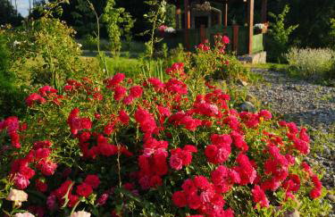 Mazurski Staw - Foto 48