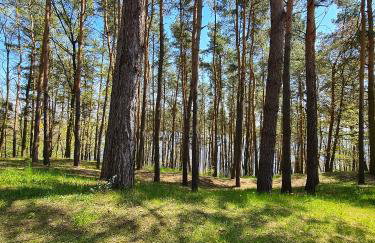 Apartament nad Zalewem Zegrzynskim z tarasem 23 m2 - Foto 9