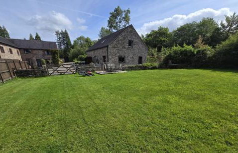 The Roaches - Foto 3