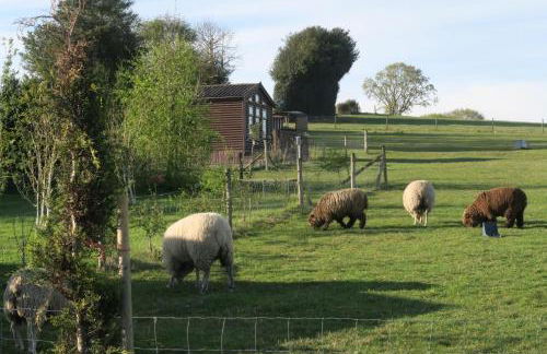 FAIRVIEW FARM Holiday Accommodation 14 Luxury Lodges, Cabins, Dog Friendly, Suitable for Couples, Families and Groups, Wedding Guests , Corporate events, Sleeps 2-65 guests in Ravenshead, Nottingham near Sherwood Forest, set in 88 acres - Photo 35