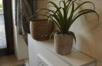 Fewo "Elsa" Reichmannsdorf - Brötchenservice - Foto 28