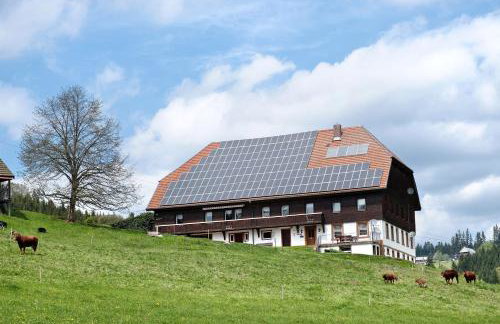 Rutscherhof Breitnau - Photo 27