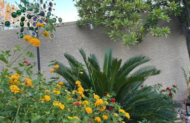 Amazing Grace Vacation Home - Foto 33