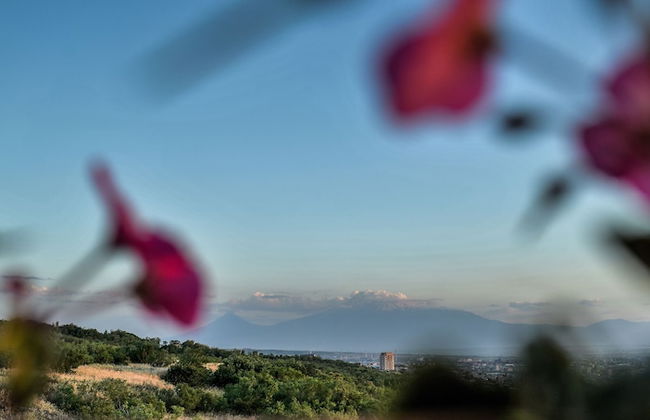 Panorama Resort - Photo 25