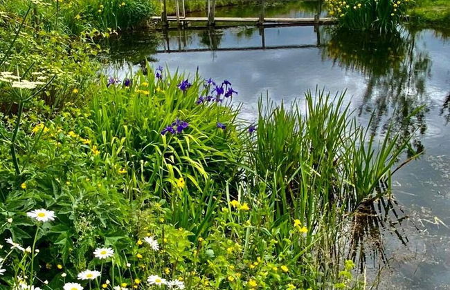 Shepherds Loch Glamping - Foto 76