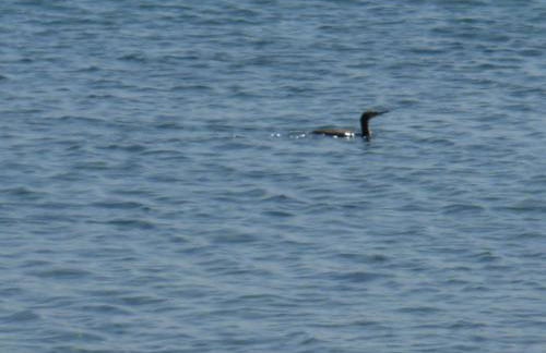 House On The Wave - Foto 44