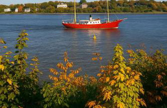 Fewo Lüheblick im Haus Lühegarten - Photo 34