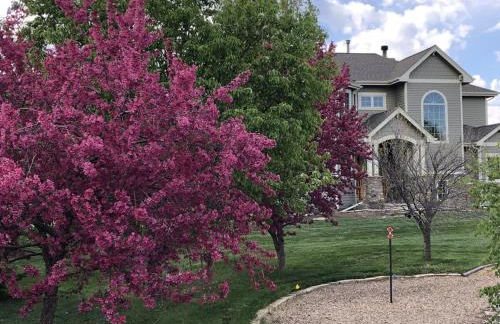 A Peaceful Slice of Heaven Near Boulder - Foto 43