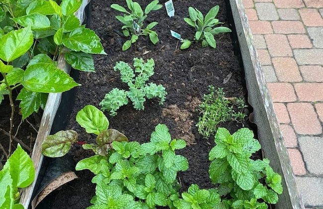 Tropical Villas of Venice Beach - Foto 79