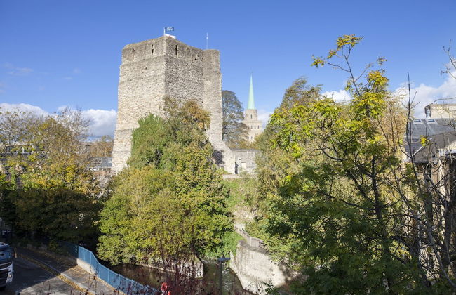 The Hawking - Foto 15