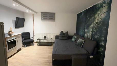 Montage- Pendlerwohnung Kandern, Lörrach, Basel D,CH,FR - Foto 5