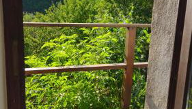 Kleine Auszeit - Foto 4