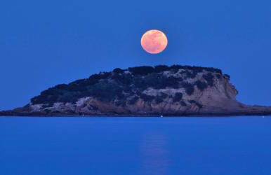 Isla de Altea Beach Luxury House - Photo 27