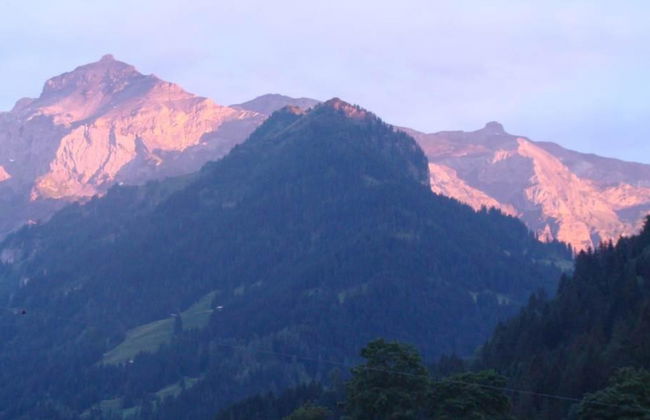 Gwunderstübli - Foto 3