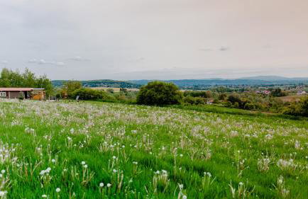 Domki na Górniej Łące - Dwa Wróble - Foto 30