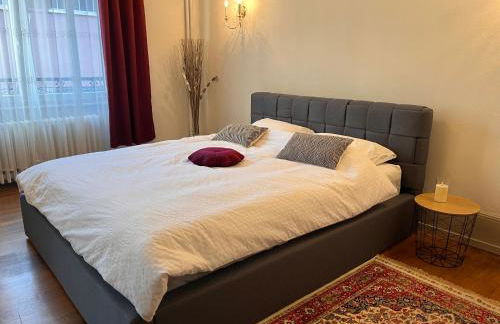 Jardin de Victor Appartements calmes spacieux avec jardin clos - Foto 19