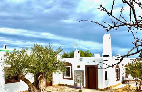 Luna Moruna - Foto 18