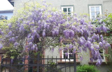 Apartment Annette Faust - Foto 12