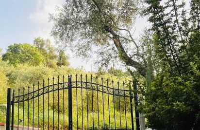 Podere Il Piantoneto - Foto 52