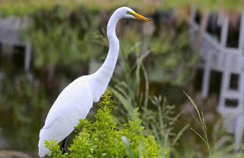 527 Sunsuite - Foto 14