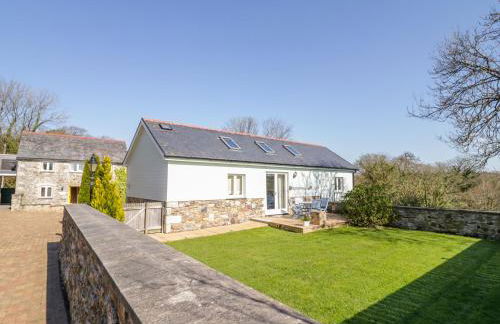 Forget-me-not - Foto 1