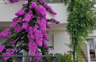 Apartman Legac 2 Nin - Foto 1