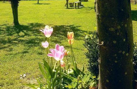 Villa La Pineta - Foto 10